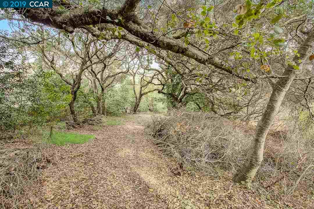 0 Fairview Ave, RICHMOND, California 94805, ,Lots And Land,For Sale,Fairview Ave,40910109