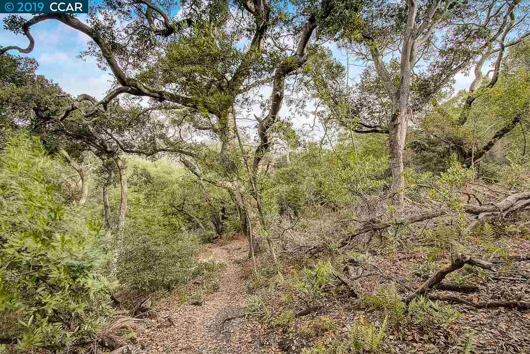 0 Fairview Ave, RICHMOND, California 94805, ,Lots And Land,For Sale,Fairview Ave,40910109