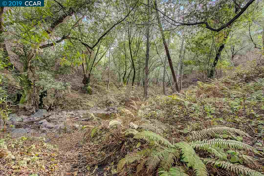 0 Fairview Ave, RICHMOND, California 94805, ,Lots And Land,For Sale,Fairview Ave,40910109