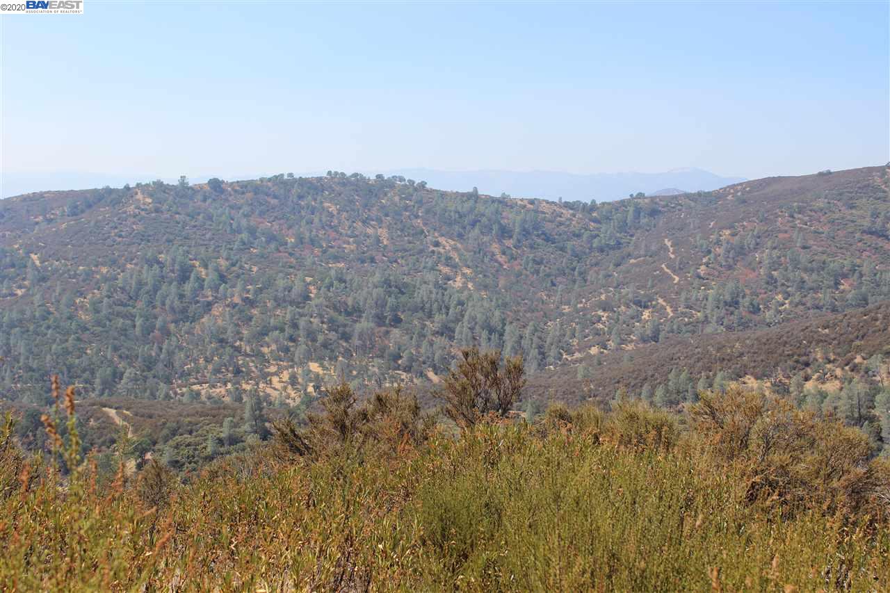 48015 MINES RD, SAN JOSE, California 94551, ,Lots And Land,For Sale,MINES RD,40910115