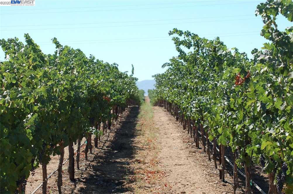 9846 Reuss Rd, LIVERMORE, California 94550, ,Lots And Land,For Sale,Reuss Rd,40910127