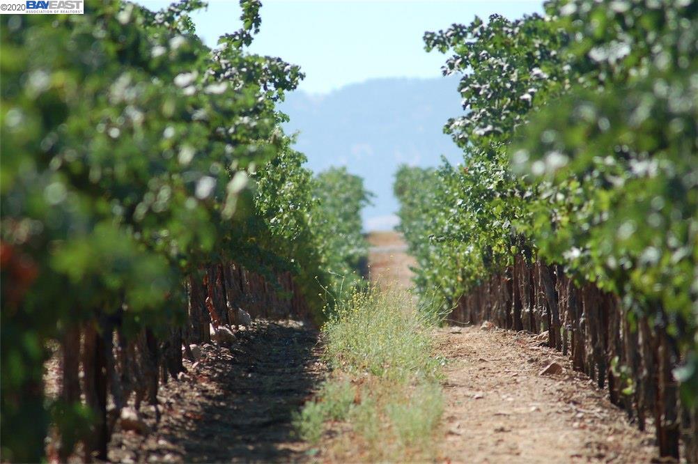 9846 Reuss Rd, LIVERMORE, California 94550, ,Lots And Land,For Sale,Reuss Rd,40910127