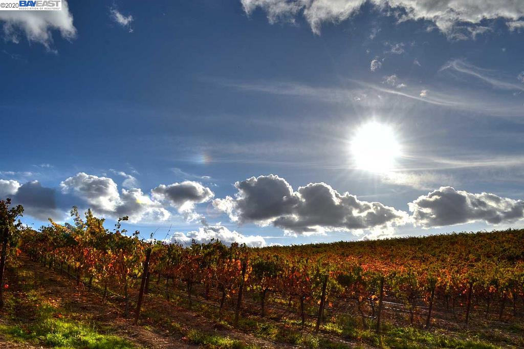 9846 Reuss Rd, LIVERMORE, California 94550, ,Lots And Land,For Sale,Reuss Rd,40910127