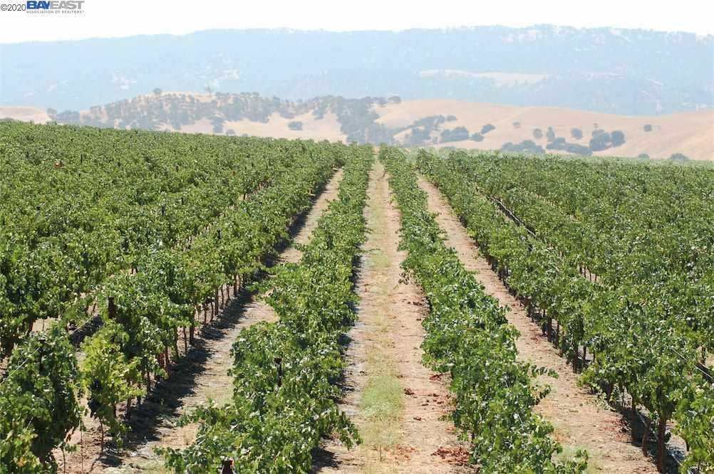 9846 Reuss Rd, LIVERMORE, California 94550, ,Lots And Land,For Sale,Reuss Rd,40910127