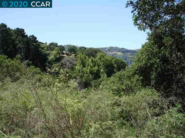 0000 Skyline Dr, EL SOBRANTE, California 94803, ,Lots And Land,For Sale,Skyline Dr,40910132