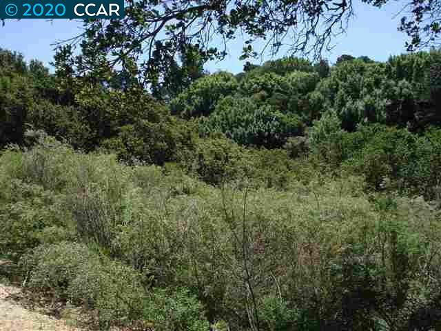 0000 Skyline Dr, EL SOBRANTE, California 94803, ,Lots And Land,For Sale,Skyline Dr,40910132