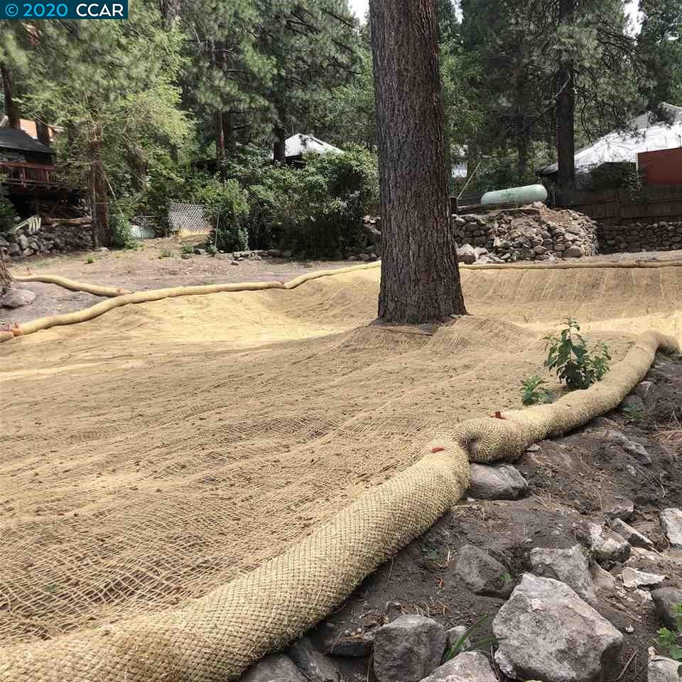 22207 Spruce Street, FLORISTON, California 96111, ,Lots And Land,For Sale,Spruce Street,40910133