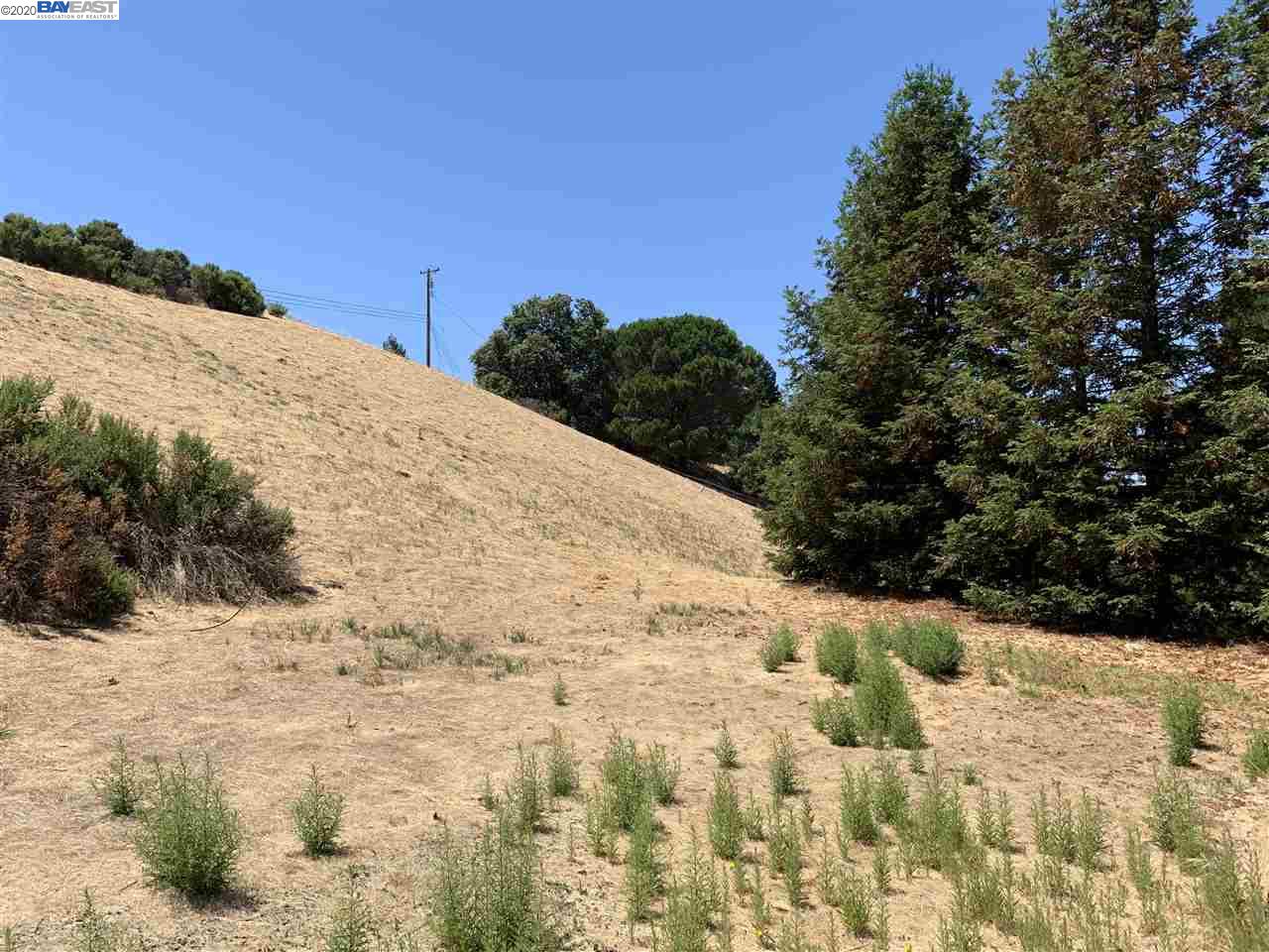 170 Brodia Way, WALNUT CREEK, California 94598, ,Lots And Land,For Sale,Brodia Way,40910443