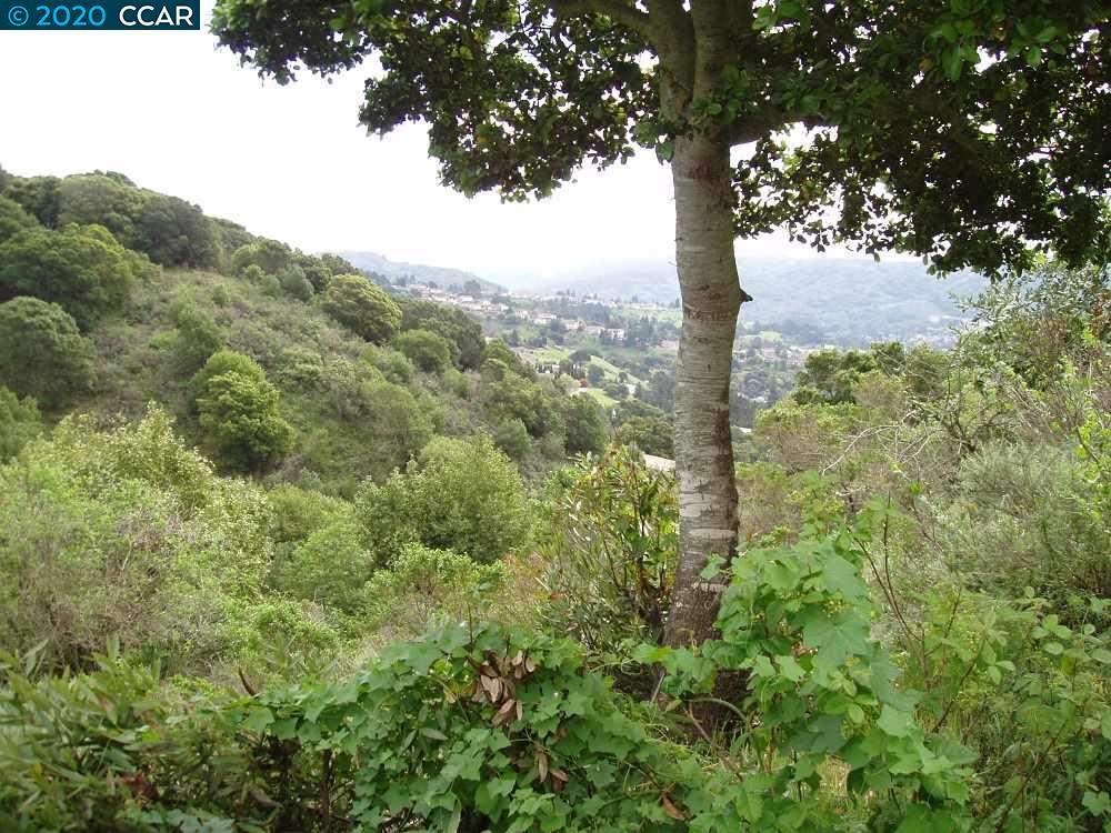 6070 SKYLINE DR, EL SOBRANTE, California 94803, ,Lots And Land,For Sale,SKYLINE DR,40910448