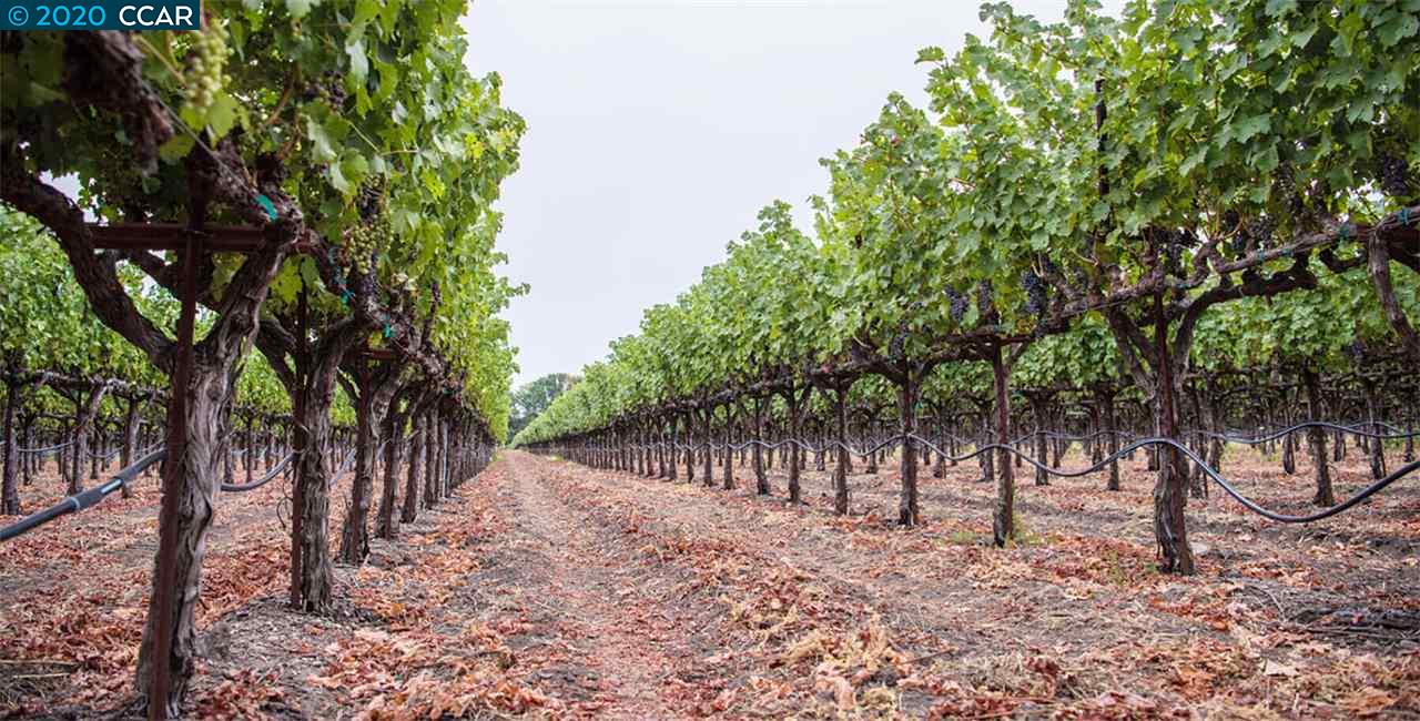 ARROYO ROAD, LIVERMORE, California 94550, ,Lots And Land,For Sale,ARROYO ROAD,40910494
