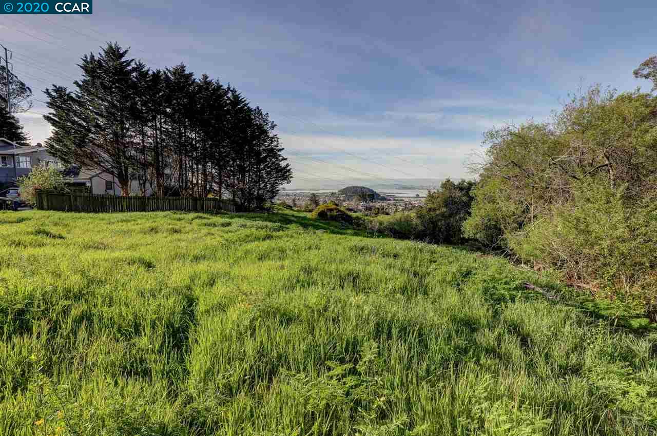 7755 Earl Ct, EL CERRITO, California 94530, ,Lots And Land,For Sale,Earl Ct,40910789