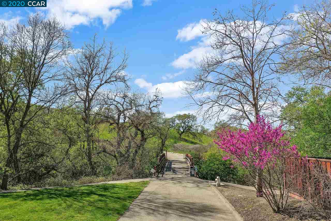 207 Cross Bridge Dr, DANVILLE, California 94526, ,Lots And Land,For Sale,Cross Bridge Dr,40911702