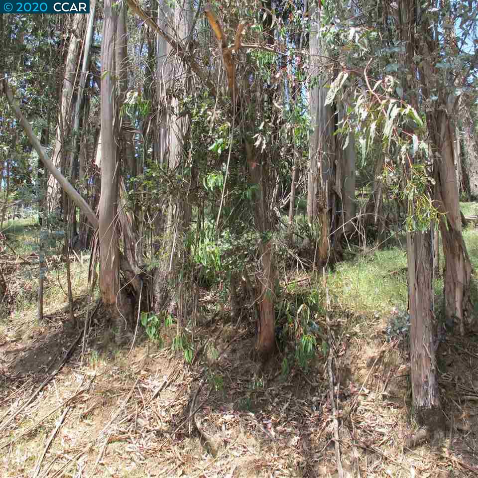 0 Woodrow Drive, OAKLAND, California 94611, ,Lots And Land,For Sale,Woodrow Drive,40912585