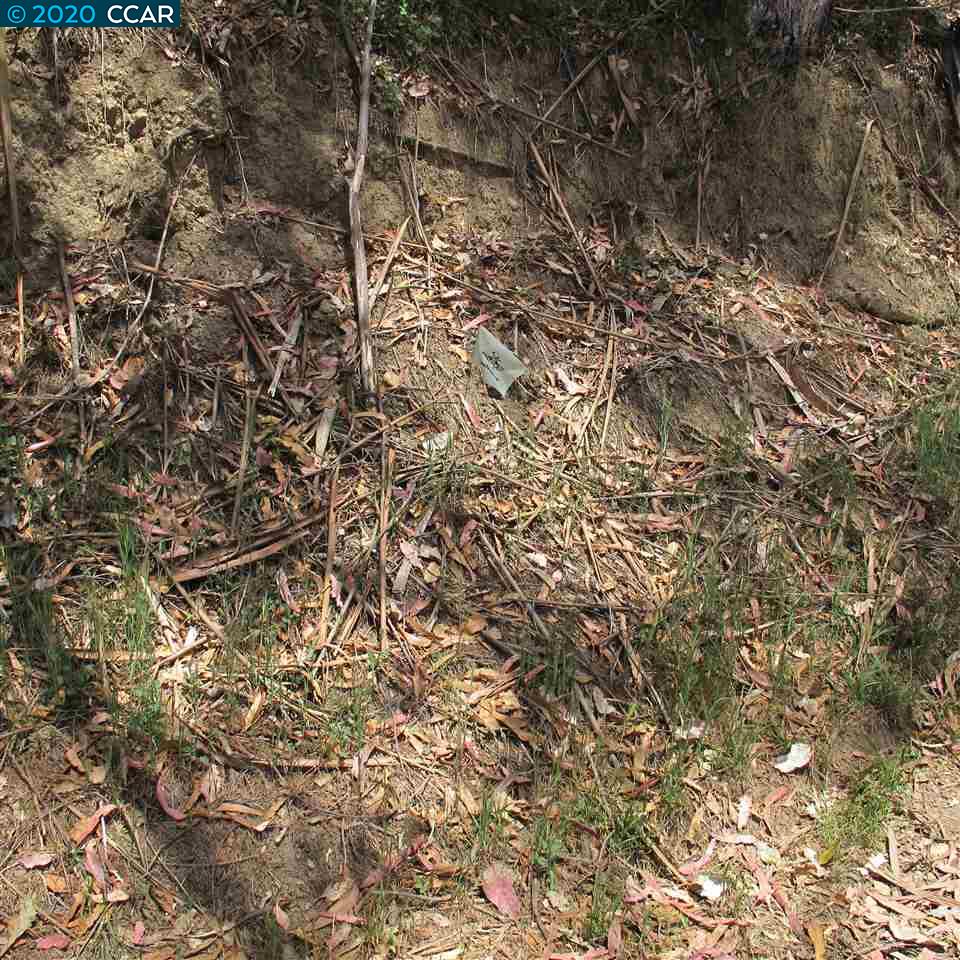 0 Woodrow Drive, OAKLAND, California 94611, ,Lots And Land,For Sale,Woodrow Drive,40912585