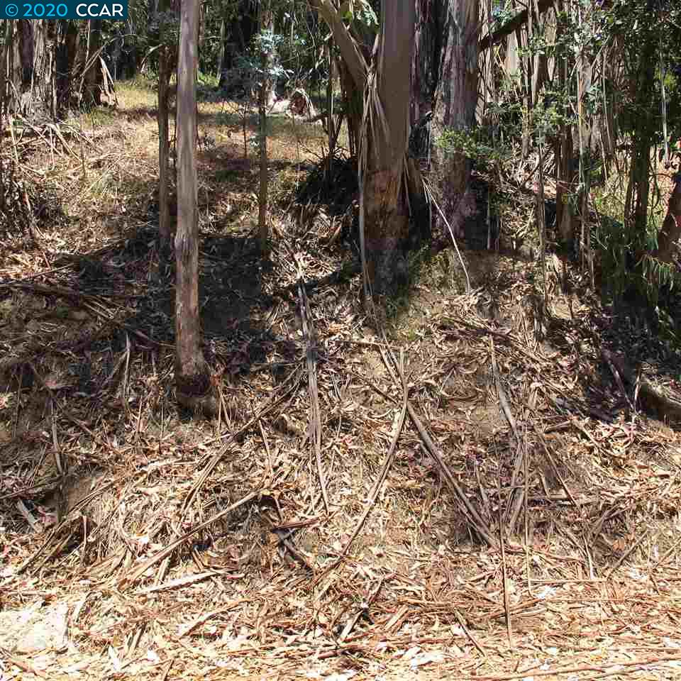 0 Woodrow Drive, OAKLAND, California 94611, ,Lots And Land,For Sale,Woodrow Drive,40912585