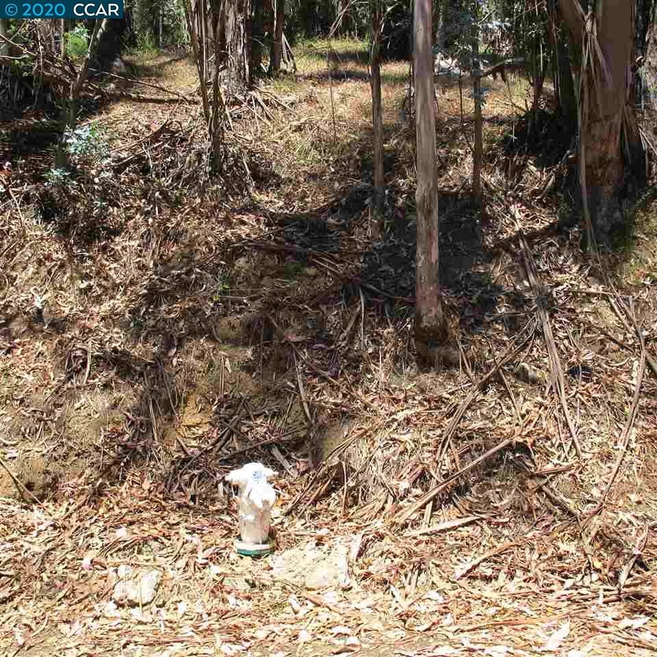0 Woodrow Drive, OAKLAND, California 94611, ,Lots And Land,For Sale,Woodrow Drive,40912585