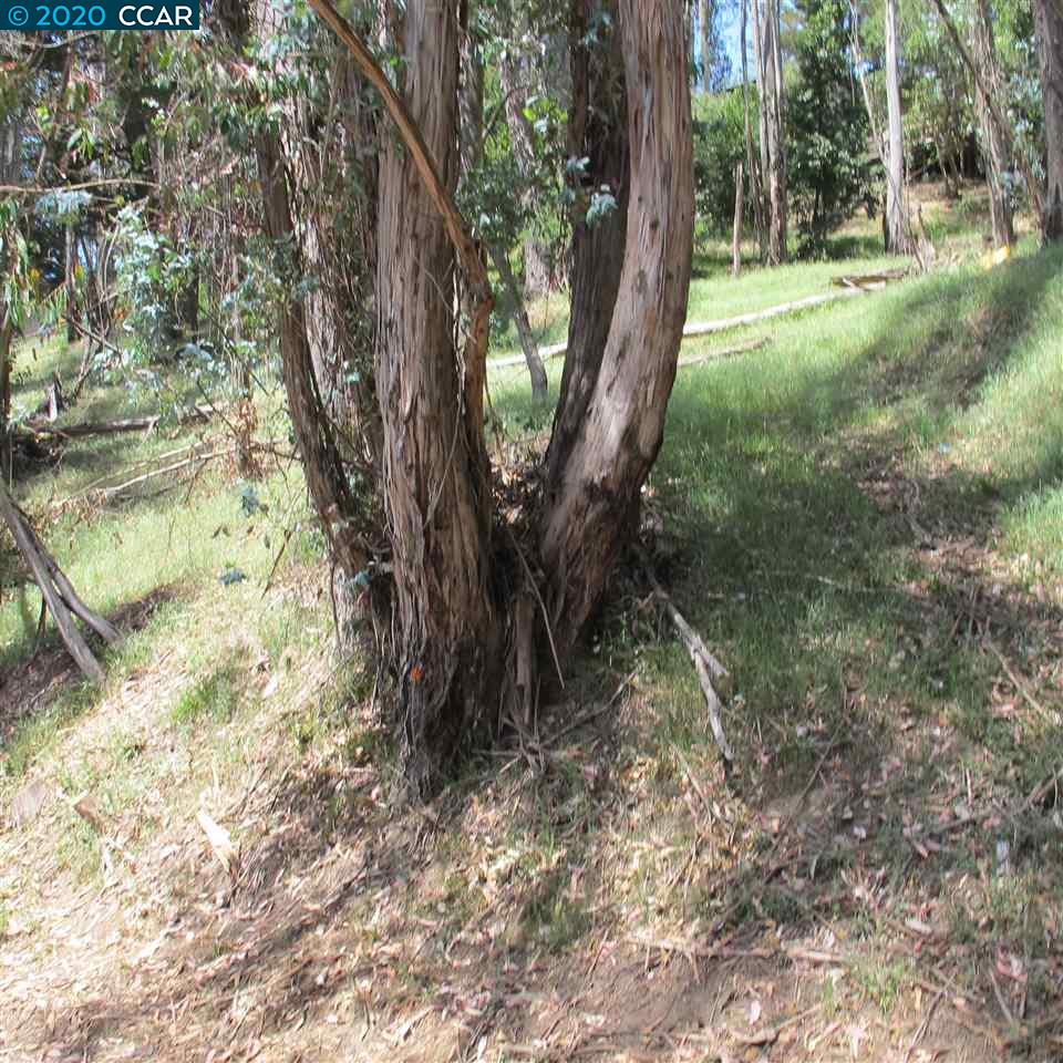 00 Woodrow Drive, OAKLAND, California 94611, ,Lots And Land,For Sale,Woodrow Drive,40912586
