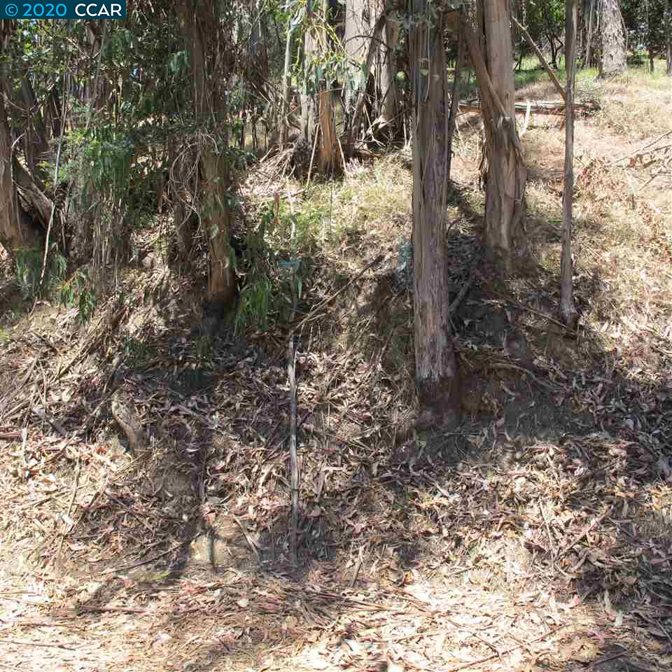 00 Woodrow Drive, OAKLAND, California 94611, ,Lots And Land,For Sale,Woodrow Drive,40912586