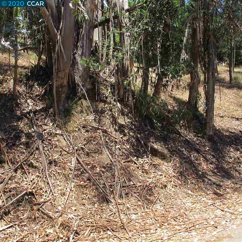 00 Woodrow Drive, OAKLAND, California 94611, ,Lots And Land,For Sale,Woodrow Drive,40912586