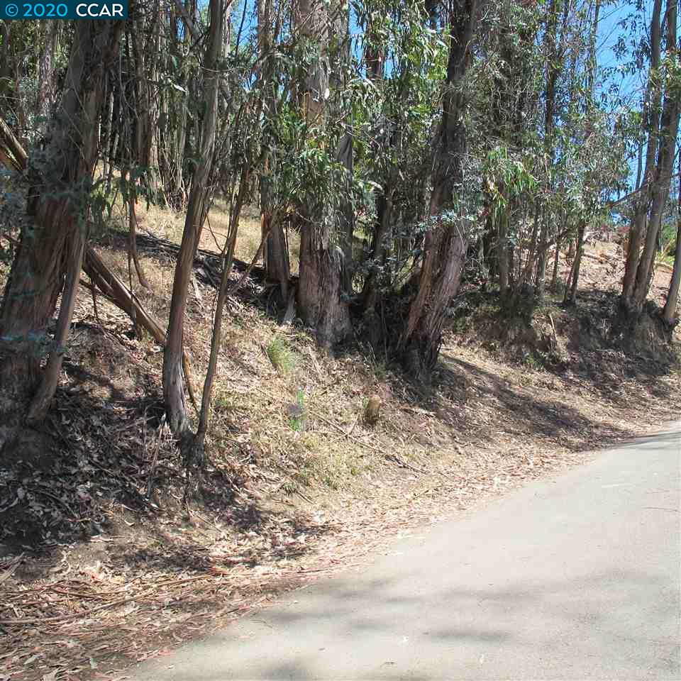 00 Woodrow Drive, OAKLAND, California 94611, ,Lots And Land,For Sale,Woodrow Drive,40912586