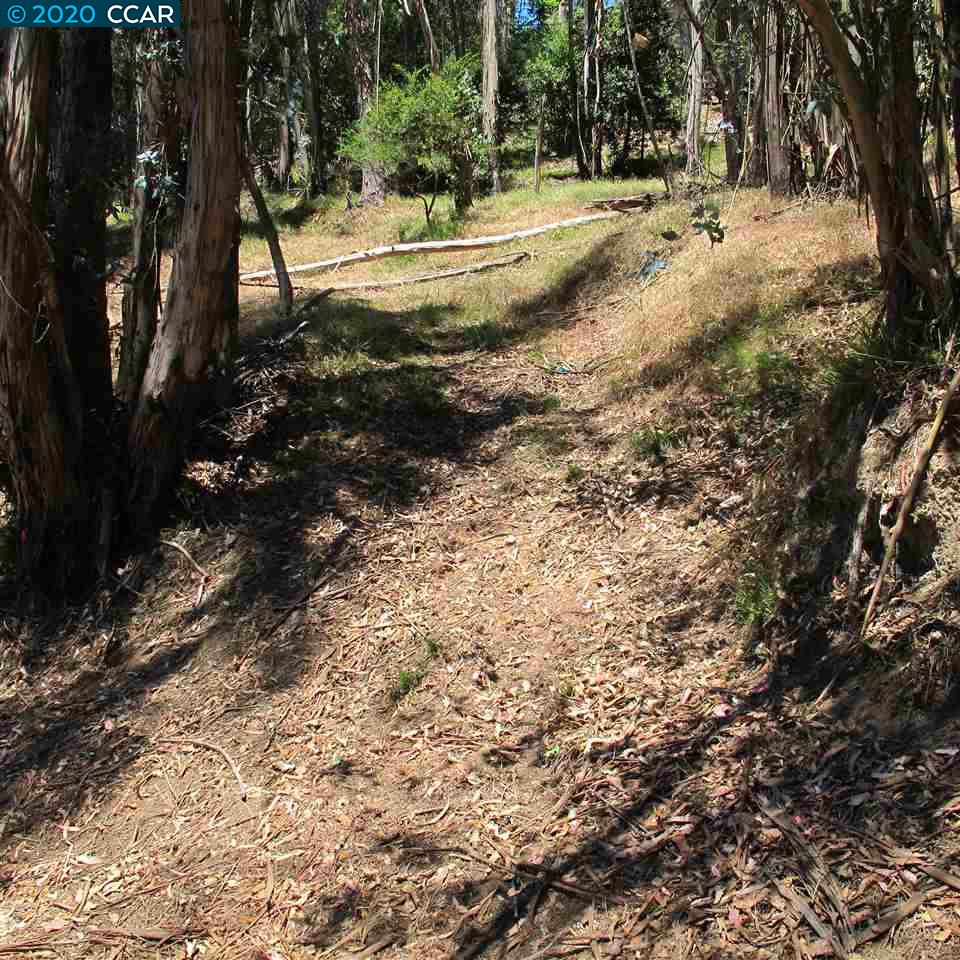 000 Woodrow Drive, OAKLAND, California 94611, ,Lots And Land,For Sale,Woodrow Drive,40912587