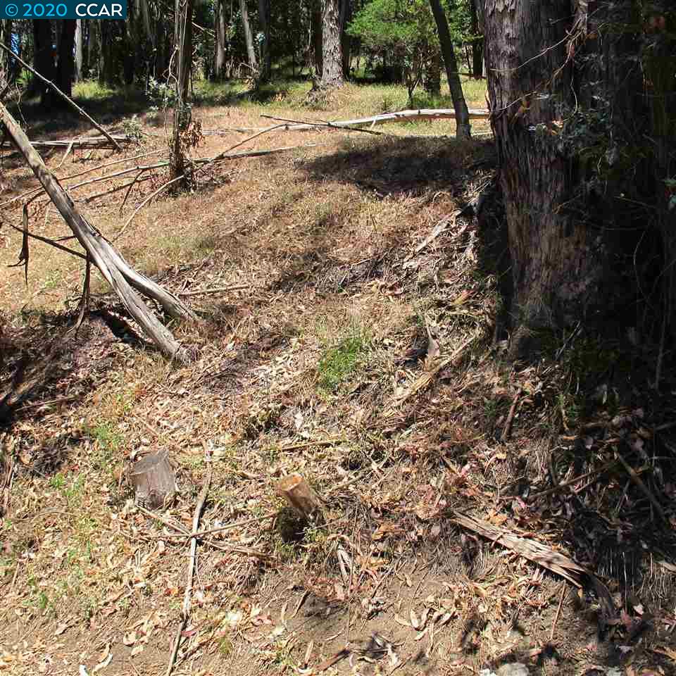 000 Woodrow Drive, OAKLAND, California 94611, ,Lots And Land,For Sale,Woodrow Drive,40912587