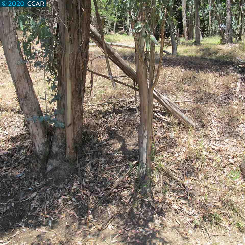 000 Woodrow Drive, OAKLAND, California 94611, ,Lots And Land,For Sale,Woodrow Drive,40912587