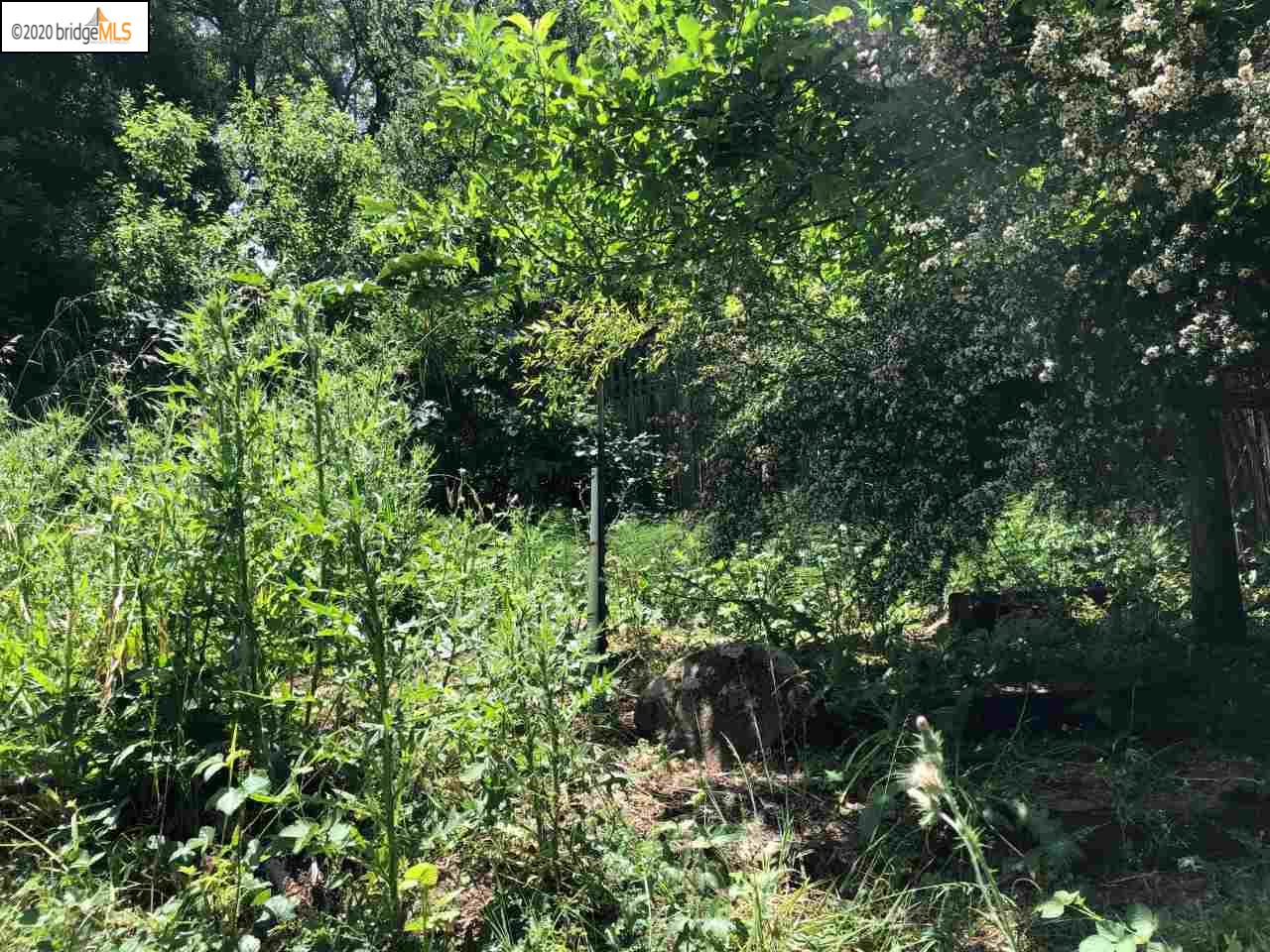 Glencourt Dr, OAKLAND, California 94603, ,Lots And Land,For Sale,Glencourt Dr,40913572