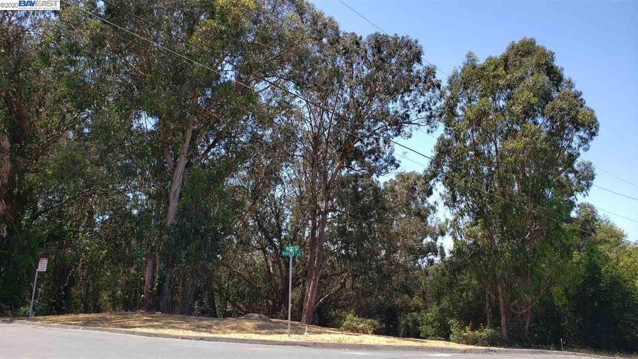 5590 Morrow Dr, SAN PABLO, California 94806, ,Lots And Land,For Sale,Morrow Dr,40914551