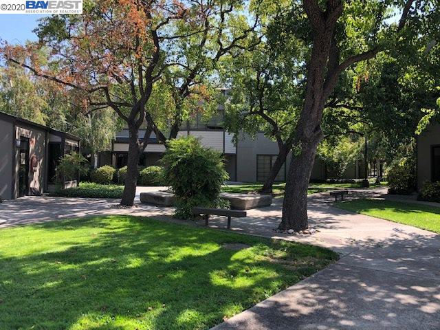 309 Lennon Ln, WALNUT CREEK, California 94598, ,Comm Industrial For Lease,For Rent,Lennon Ln,40929989
