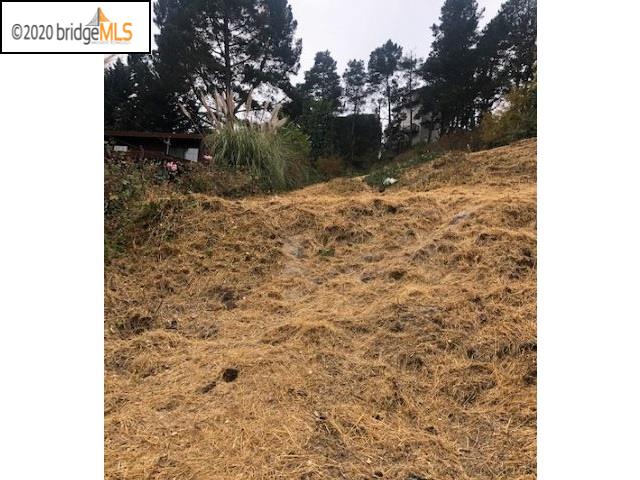 BUENA VISTA AVE, RICHMOND, California 94801, ,Lots And Land,For Sale,BUENA VISTA AVE,40916502