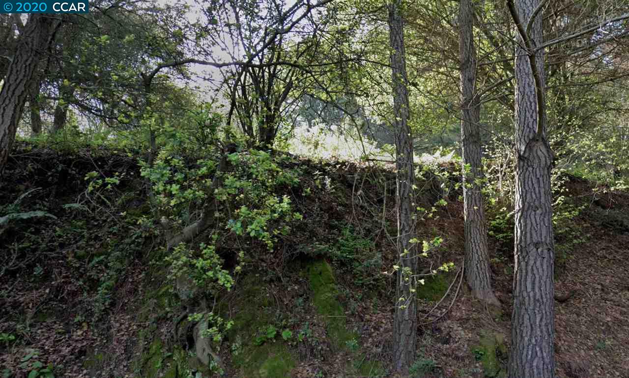 Drury Rd, OAKLAND, California 94705, ,Lots And Land,For Sale,Drury Rd,40916504