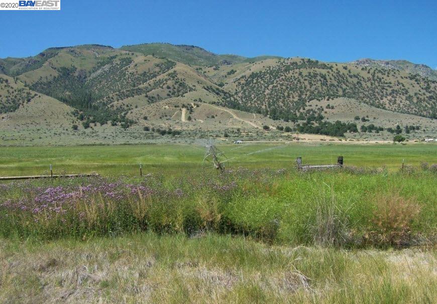 741 Cowboy Joe Road, DOYLE, California 96109, ,Lots And Land,For Sale,Cowboy Joe Road,40916508