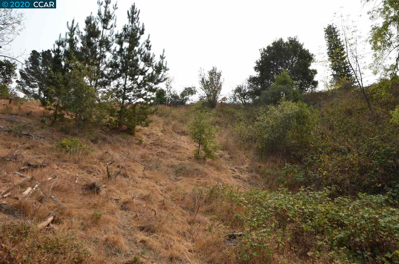 0 Crest Ave, RICHMOND, California 94801, ,Lots And Land,For Sale,Crest Ave,40917424