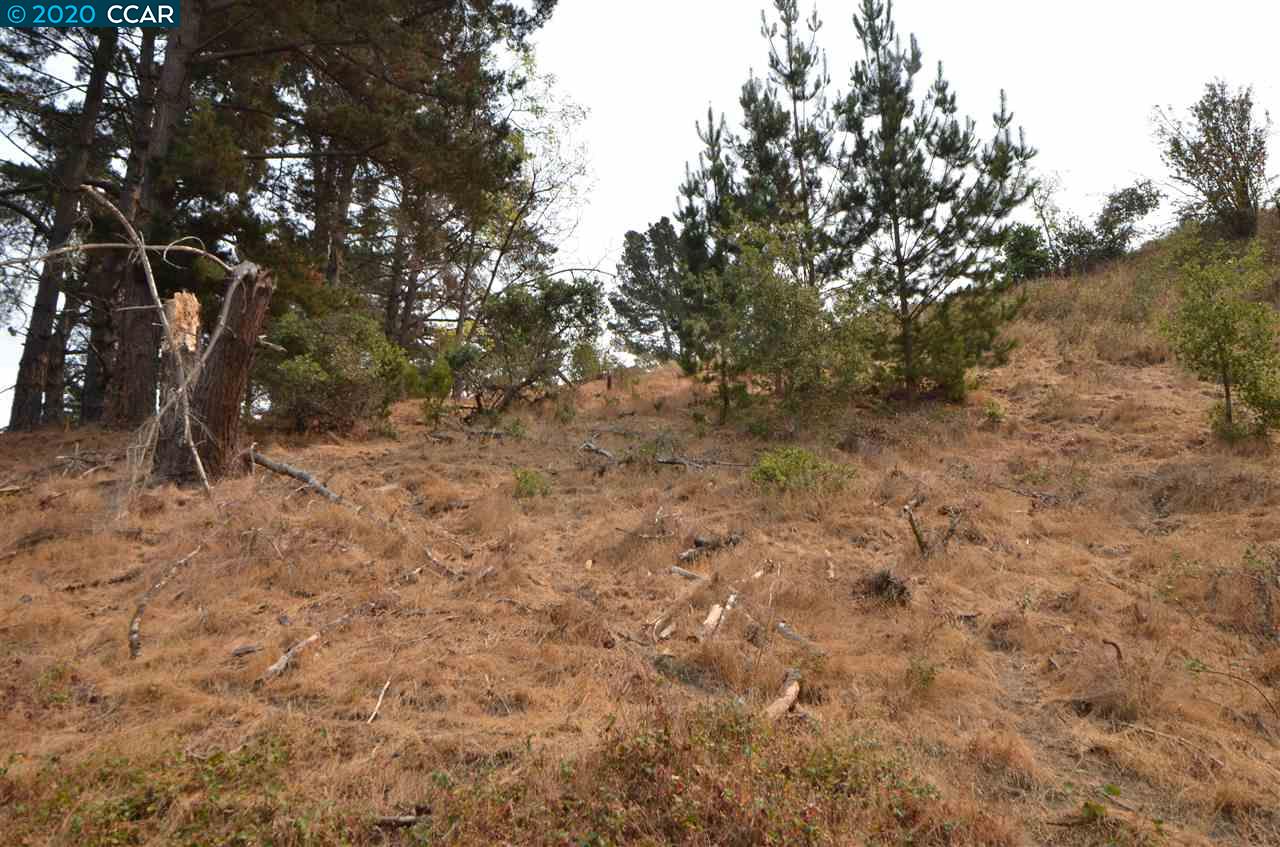 0 Crest Ave, RICHMOND, California 94801, ,Lots And Land,For Sale,Crest Ave,40917424