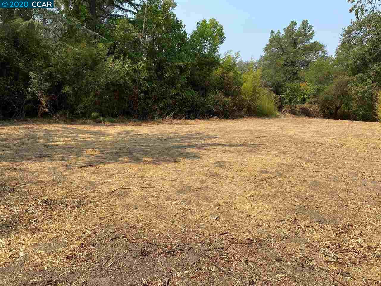 16 Crest Ct, ALAMO, California 94507, ,Lots And Land,For Sale,Crest Ct,40917982