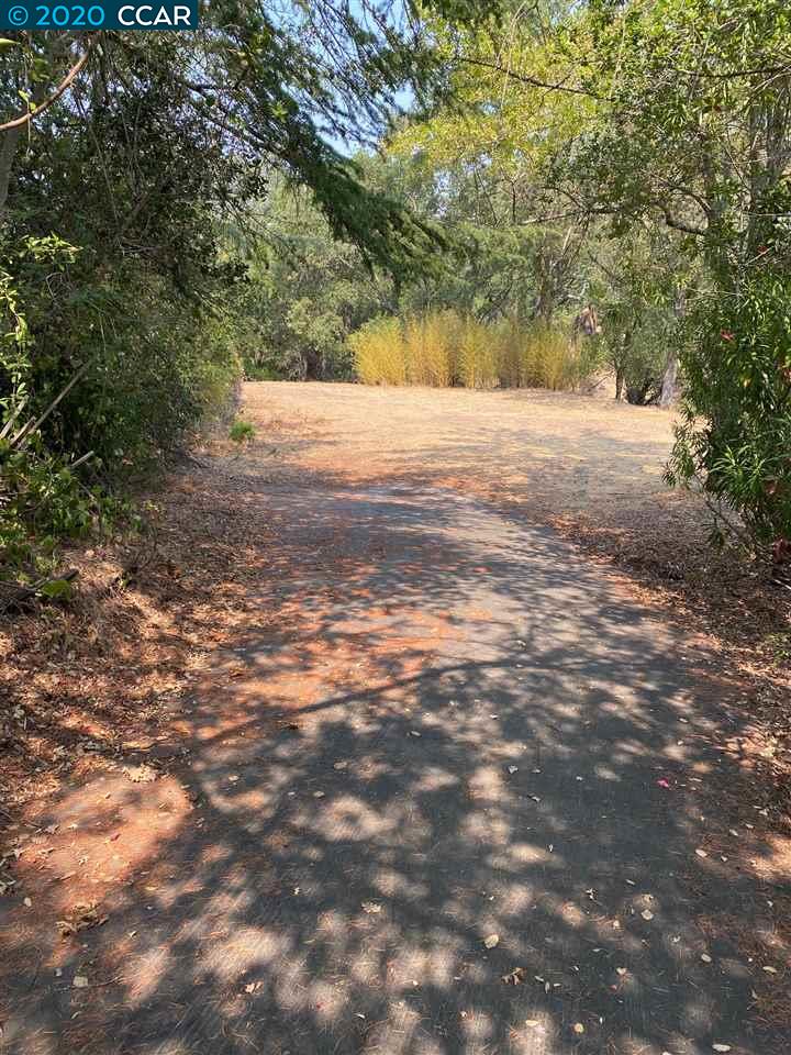 16 Crest Ct, ALAMO, California 94507, ,Lots And Land,For Sale,Crest Ct,40917982