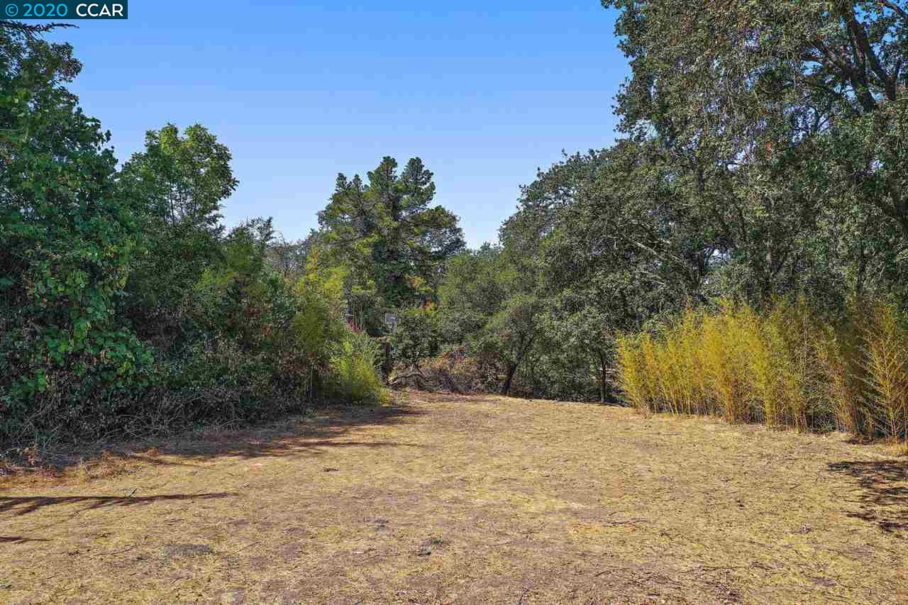 16 Crest Ct, ALAMO, California 94507, ,Lots And Land,For Sale,Crest Ct,40917982