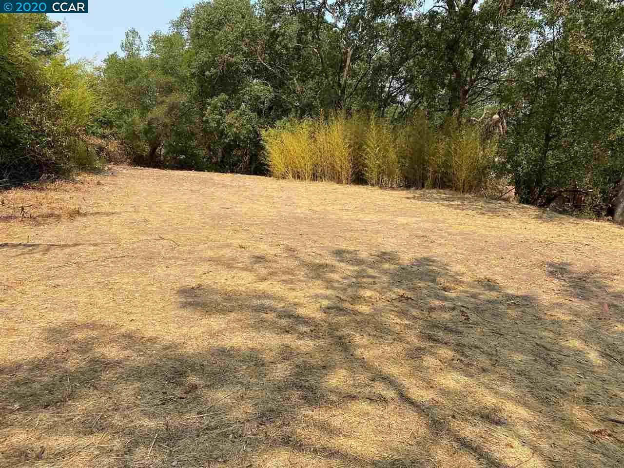 16 Crest Ct, ALAMO, California 94507, ,Lots And Land,For Sale,Crest Ct,40917982