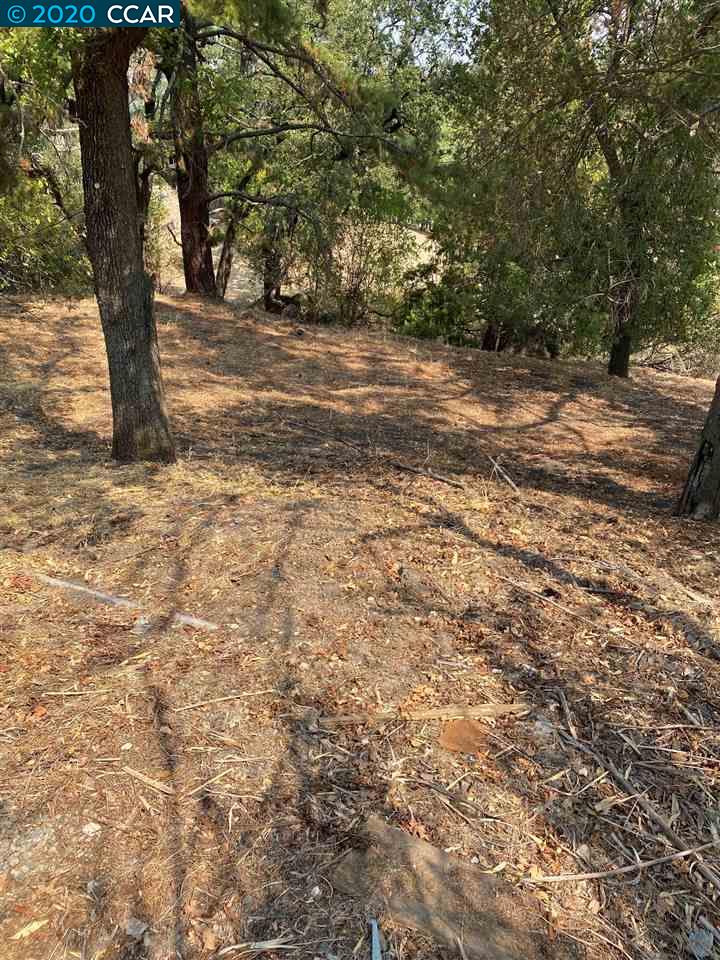 16 Crest Ct, ALAMO, California 94507, ,Lots And Land,For Sale,Crest Ct,40917982