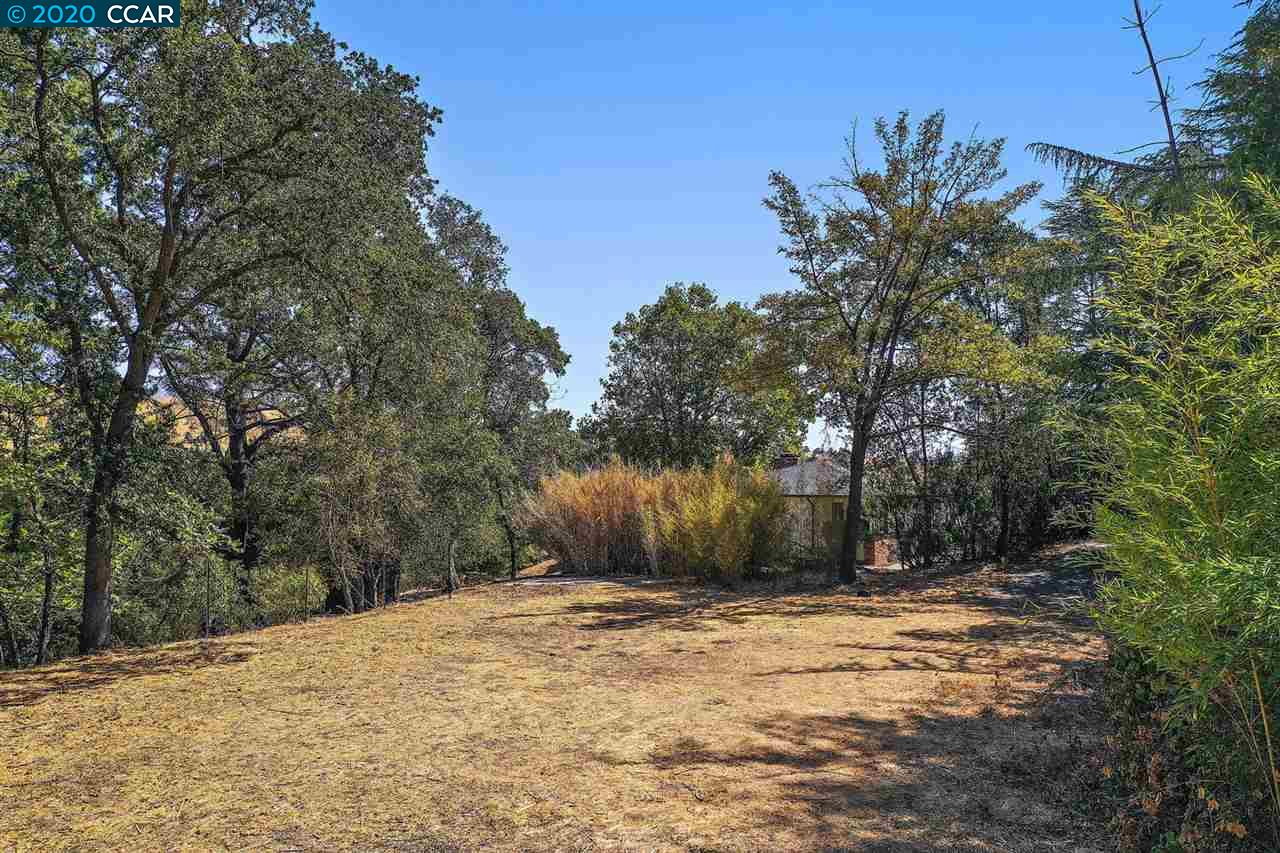 16 Crest Ct, ALAMO, California 94507, ,Lots And Land,For Sale,Crest Ct,40917982