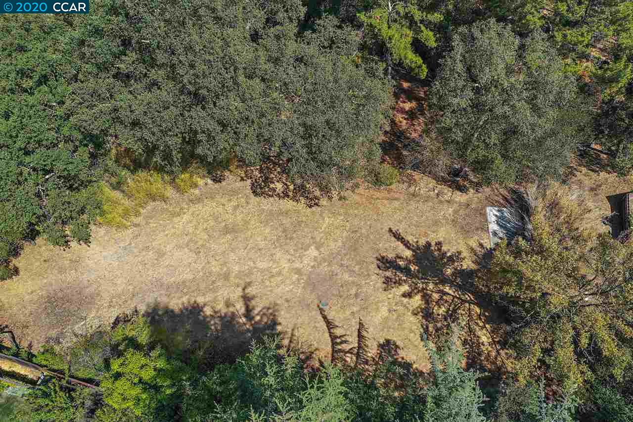 16 Crest Ct, ALAMO, California 94507, ,Lots And Land,For Sale,Crest Ct,40917982