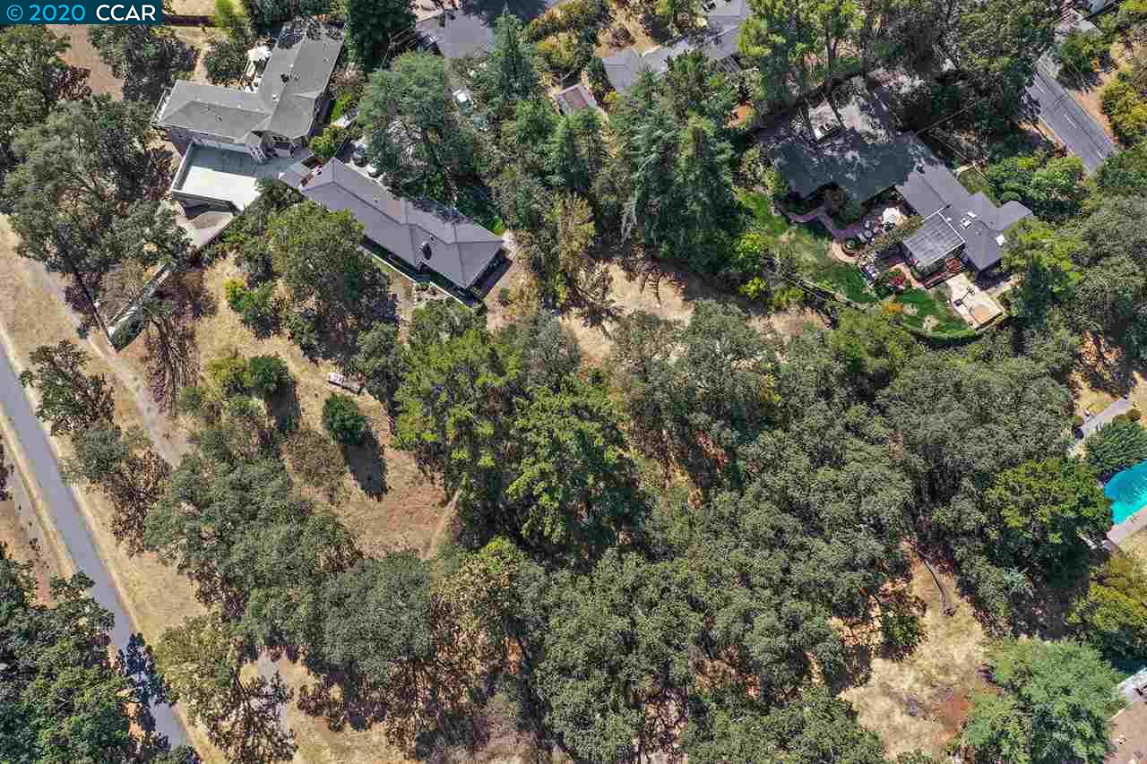 16 Crest Ct, ALAMO, California 94507, ,Lots And Land,For Sale,Crest Ct,40917982
