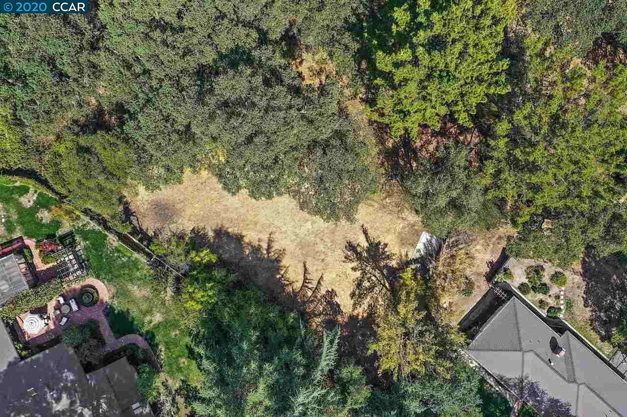 16 Crest Ct, ALAMO, California 94507, ,Lots And Land,For Sale,Crest Ct,40917982