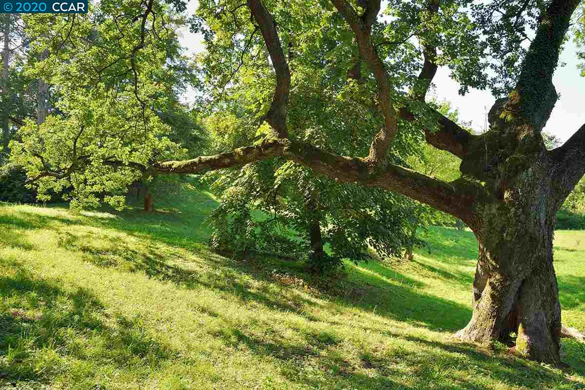 70 Adobe Lane, ORINDA, California 94563, ,Lots And Land,For Sale,Adobe Lane,40917985
