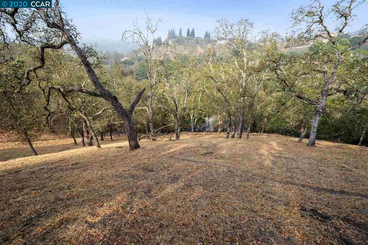 2525 Biltmore Dr, ALAMO, California 94507, ,Lots And Land,For Sale,Biltmore Dr,40917986