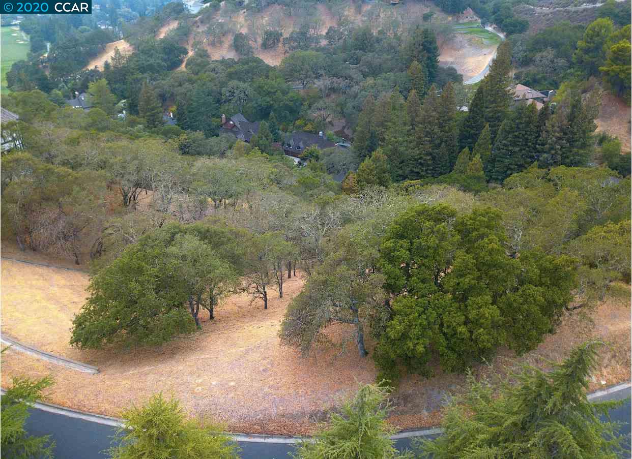 2525 Biltmore Dr, ALAMO, California 94507, ,Lots And Land,For Sale,Biltmore Dr,40917986
