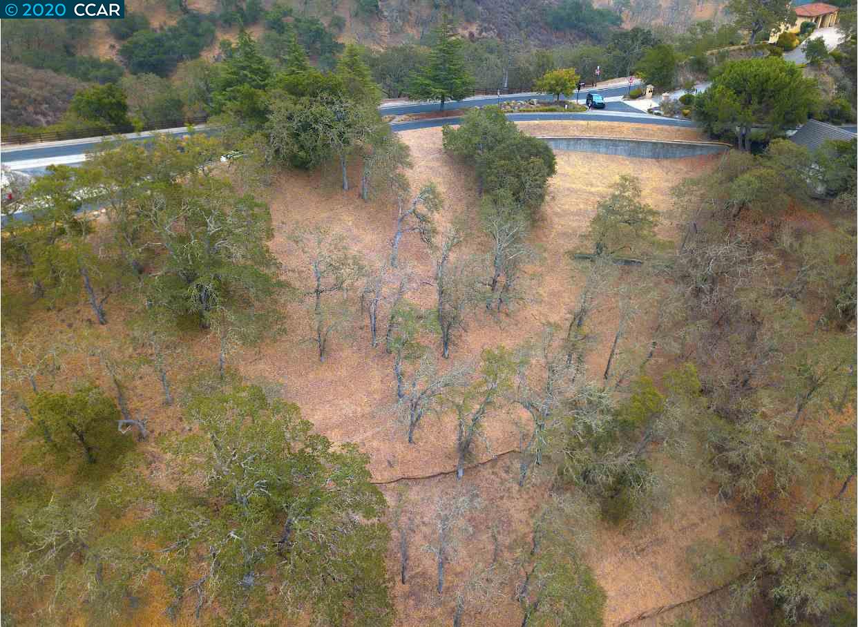2525 Biltmore Dr, ALAMO, California 94507, ,Lots And Land,For Sale,Biltmore Dr,40917986