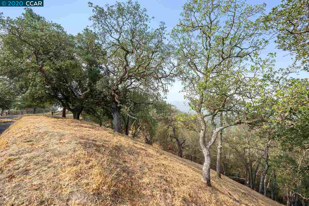 2525 Biltmore Dr, ALAMO, California 94507, ,Lots And Land,For Sale,Biltmore Dr,40917986