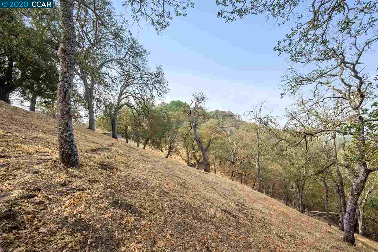 2525 Biltmore Dr, ALAMO, California 94507, ,Lots And Land,For Sale,Biltmore Dr,40917986